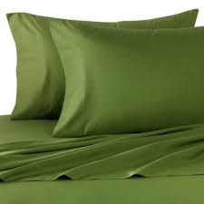 Queen Sage Pillowcases Egyptian Cotton 1000TC